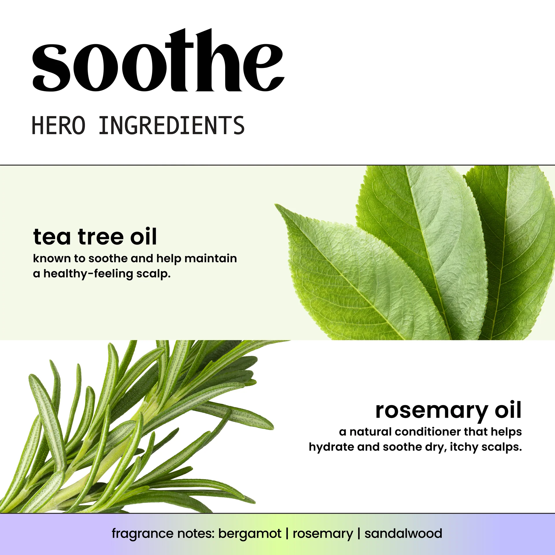 Soothe + Tea Tree Oil & Rosemary Conditioner - Image 5